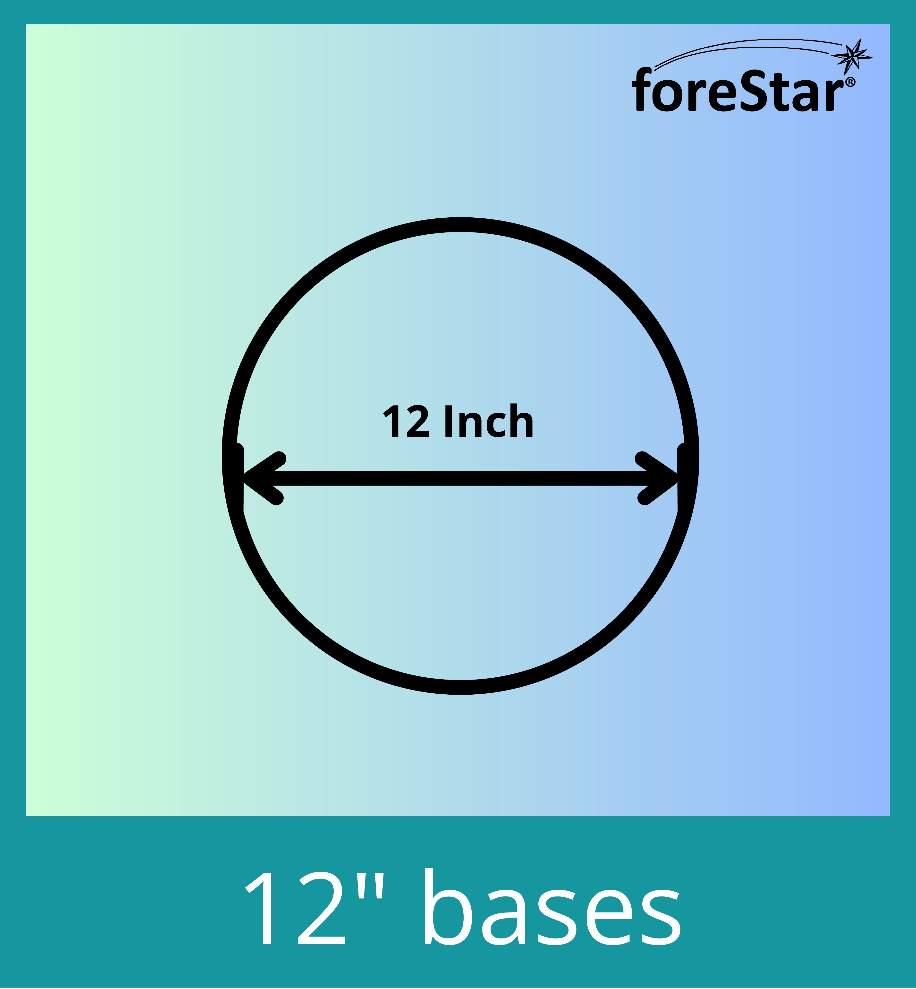 2-7/8" Heavy Duty AR w/ 12" Bases